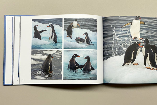 Antarctica photo book by Robin Moon
