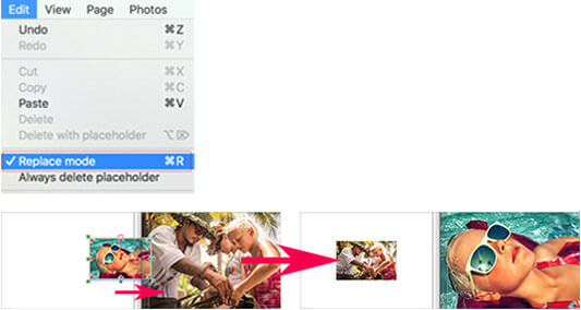 Replace and swap photos in Layout View of Momento software