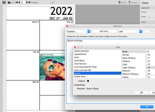 Add text to photo diary in Momento software
