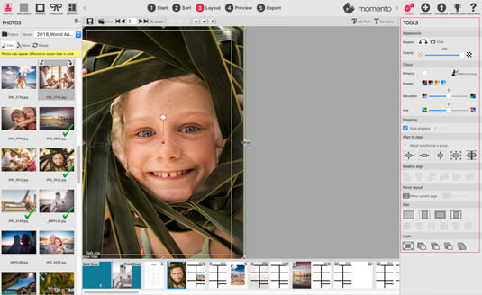 Manual and auto photo editing tools in Momento software