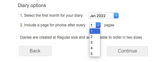 Diary options in Momento software