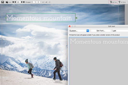 Add text in Layout View of Momento software