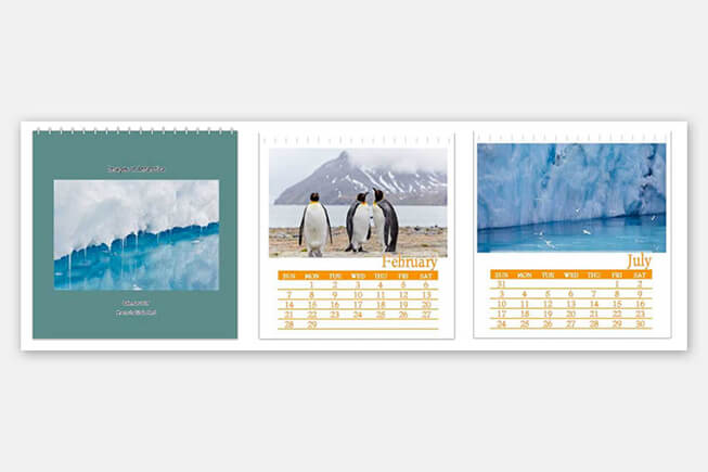 Antartica calendar