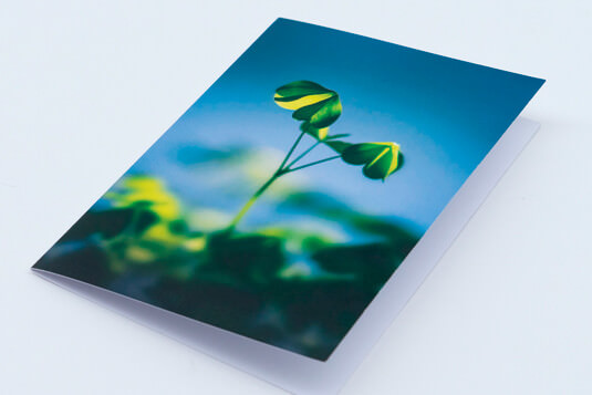 Matte photo greeting card papers